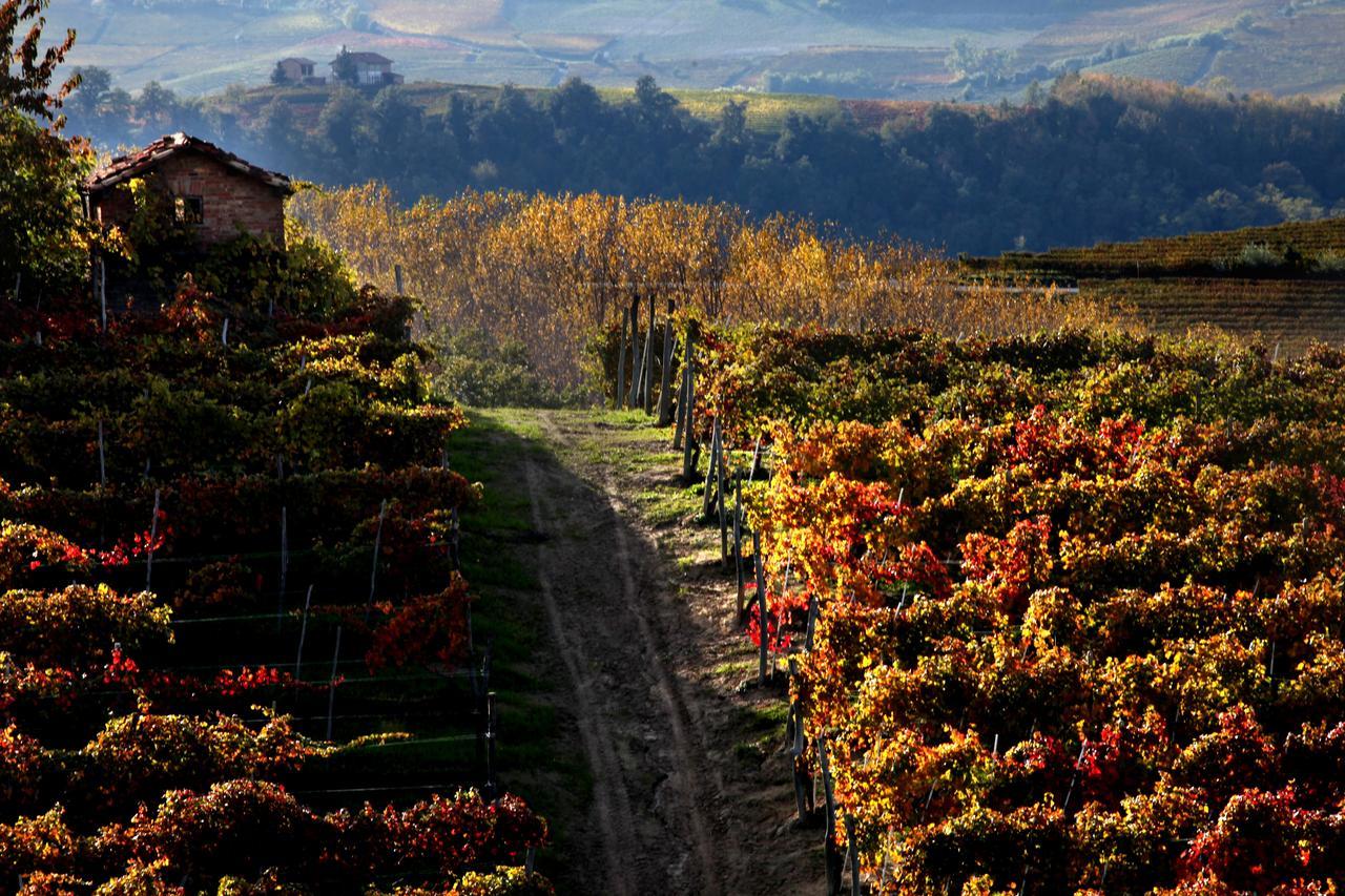 Albergo Castiglione Langhe Кастильоне-Тинелла Экстерьер фото