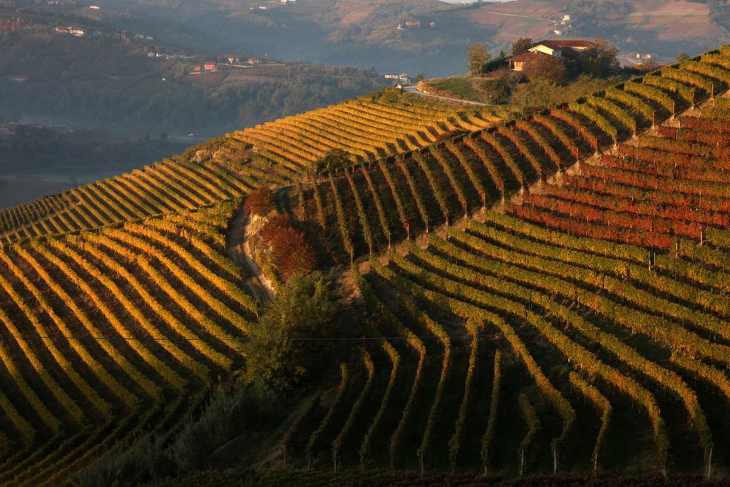 Albergo Castiglione Langhe Кастильоне-Тинелла Экстерьер фото